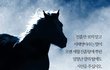 열심히 달린 말에 진흙이 묻는다