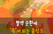 혈액 순환에 독이 되는 음식