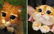 실물로 보는 '장화 신은 고양이'