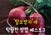 탈모방지에 탁월한 방법 베스트