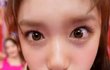 우리 강아지 아이브 이서 닮지 않았어?..