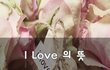 I Love 의 뜻~
