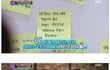 올바른 성평등의식