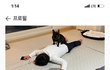 호적메이트 산책보내기.jpg