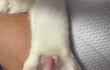 오늘의 톡
