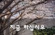 지금 하십시요~