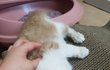 우리 똑냥이 ❣❣❣