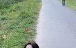이나은 진짜 불쌍하다