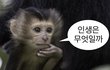 인스타 꼭지워라 삶의질이 백만배올라감