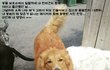 오늘 하루가 유독 길게 느껴질 직장인들
