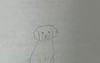 오늘의 톡