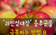 과민성대장 증후군을 극복하는 방법 8