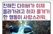 인스타보다가 s랑 n차이점 발견함