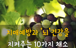 치매예방과 뇌건강을 지켜주는 10가지 채소