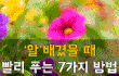 알배겼을때 빨리푸는 7가지 방법