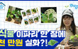 식물로 재테크 가능한거 알고계신가요?