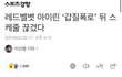 아이린 기사 뜬거 대중반응