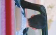 2521처럼 미자랑 성인이 사귀는거