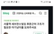 버려진 아기고양이 나비 입양일지