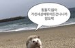 새학기에도 ㄹㅇ 찐따는 티가 나