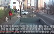진돗개를 물어뜯은 골든리트리버 두마리