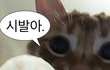 니네 하루에 공부 시간 얼마임?