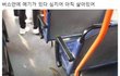 버스안에 메기가 있다.jpg
