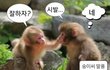 뭘 해도 꾸민 거 같은 분위기 나는 애들 있지 않나