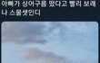 상어구름 보라고 재촉하는 아빠