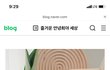 웨이크미 테일러드 샴푸 괜찮넴