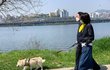 김건희, 집 앞 경찰견 만진 뒤 샀나… 토리 어깨에 ‘경찰특공대’