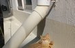 우리 기관에서 사는 냥이 고양이