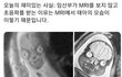 엥 이거 찐이야?????????