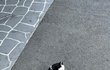 왜 그렇게 쳐다보는데..