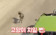 유튜버 주둥이 ㅈㄴ 호감이네