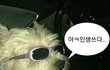 너희 삼성 이재용 이 썰 아냐?