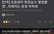 초등생이 화장실서 불법촬영