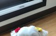 오늘의 톡