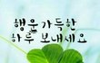 오늘도 좋은일만 가득하길
