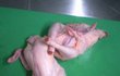 과외쌤 미친거 아냐?