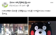 만취녀 절도사건 레전드 ㄷㄷ