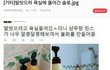 이녀석들이