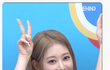 체리블렛 보라 스타된다