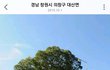 우영우 나무 위치 찾았다
