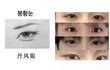 이런 눈 진심 개부럽다