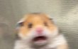ㅋㅋㅋㅋㅋ