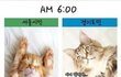 서울사는사람 vs 경기사는사람