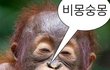 인생 선배님들 고등학교 고민 좀 들어주세요 +)제발 한 번만 읽어줘