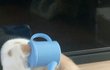 우리고양이 분무기에 머리낌ㅋㅋ