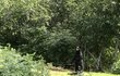 처음엔 잘못 본 줄 알았어
